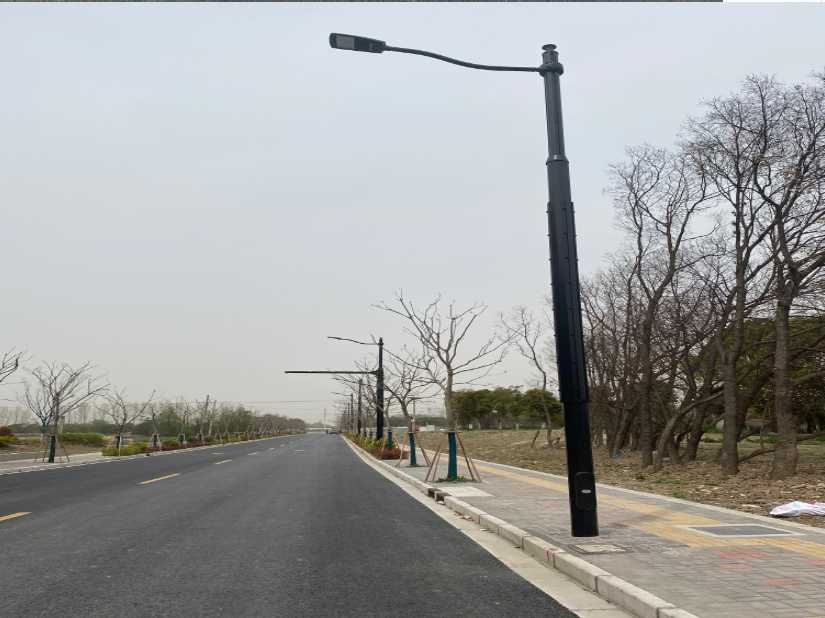 兴海县上海综合杆 太阳能路灯工程